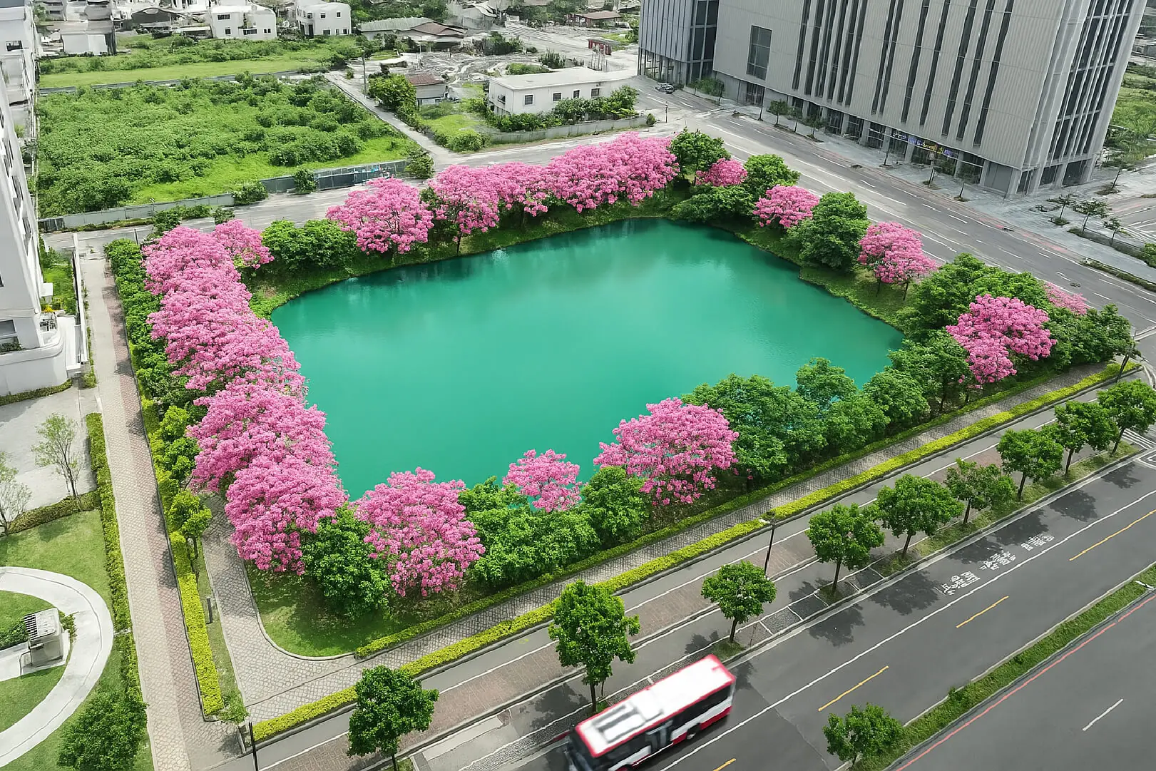 水湳蓄水池 粉紅楓林木合成示意圖